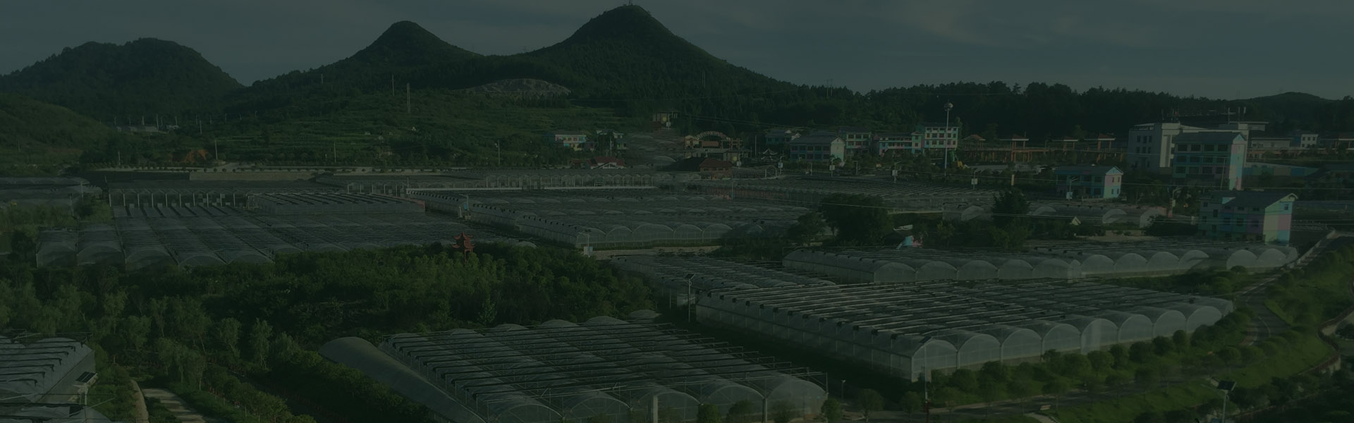 重庆大棚维修